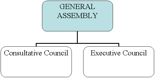 Organization Chart